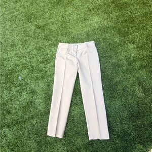 Ann Taylor Marisa Straight cropped